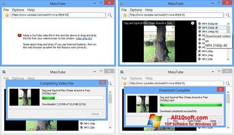 Capture d'écran MassTube pour Windows 10