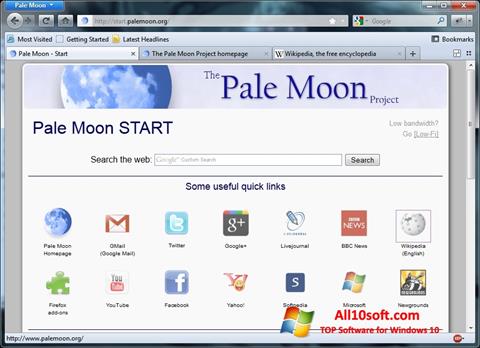 Capture d'écran Pale Moon pour Windows 10