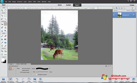 Capture d'écran Photoshop Elements pour Windows 10