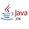 Java SE Development Kit pour Windows 10