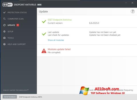Capture d'écran ESET Endpoint Antivirus pour Windows 10